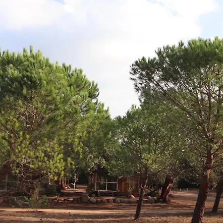 Petralegna Σαλέ *