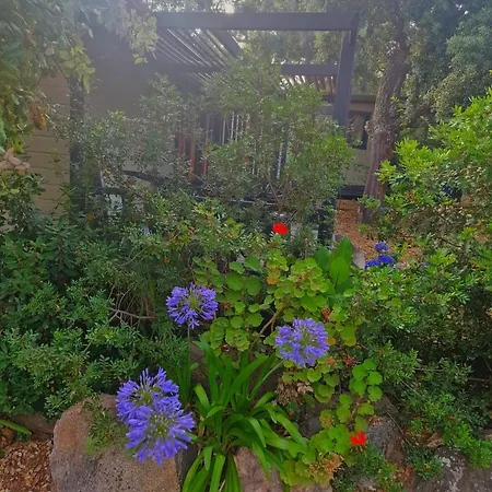Petra Legna - Résidence Les Jardins Du Golfe * Porto Vecchio