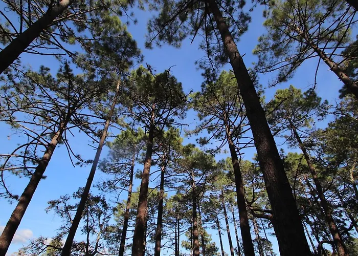 Petralegna Porto-Vecchio (Corsica)