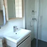 Petralegna