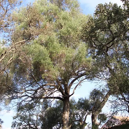 Alpehytte Petralegna