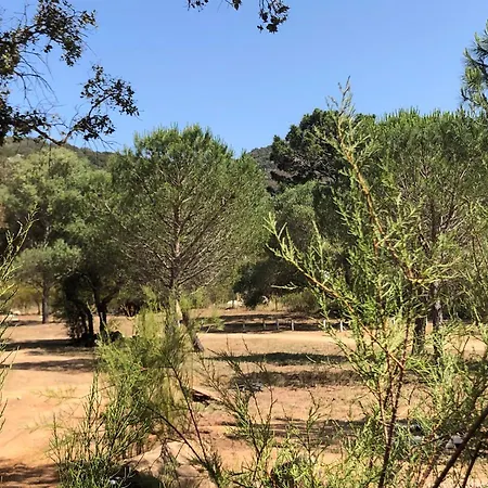 Petralegna Chalet Porto-Vecchio (Corsica)