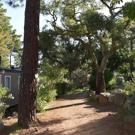 Petralegna Porto-Vecchio (Corsica)