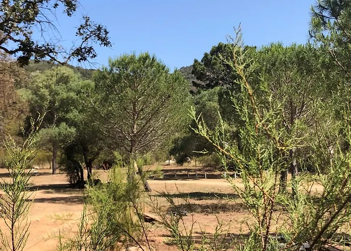 Petralegna Horská chata Porto-Vecchio (Corsica)