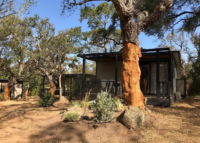 Petralegna Horská chata *